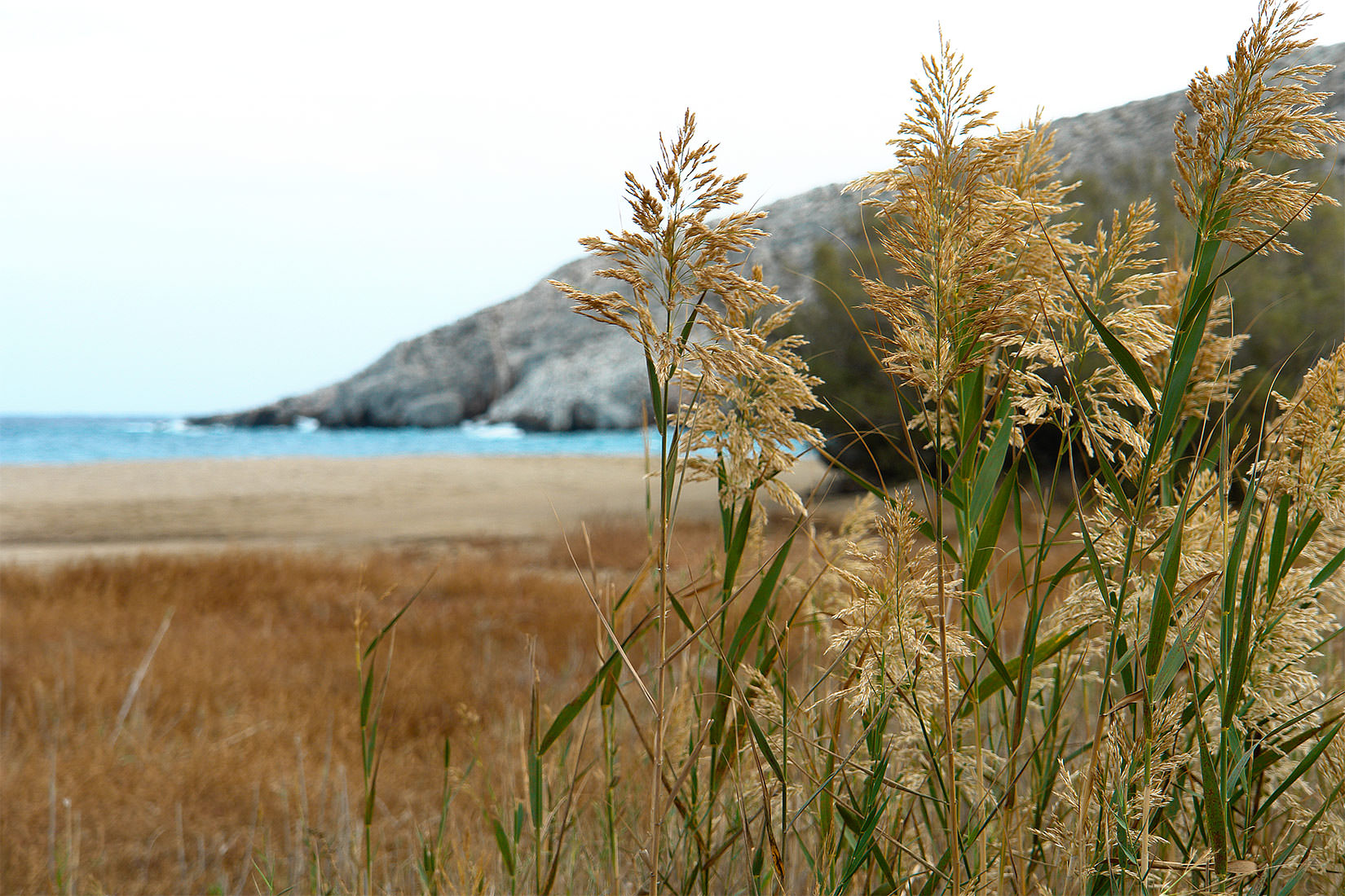 folegandros-hotels-livadi-village-01