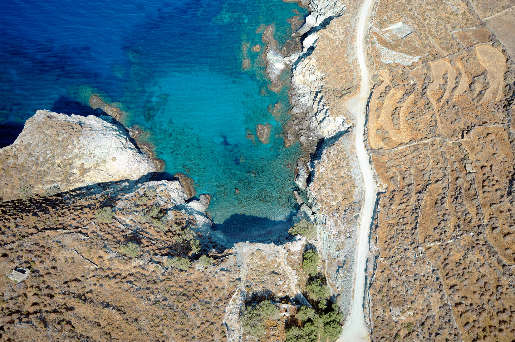 ABELI-beach.jpg